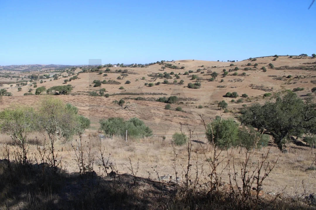 Moradia para Venda em Almodôvar e Graça dos Padrões Foto 50