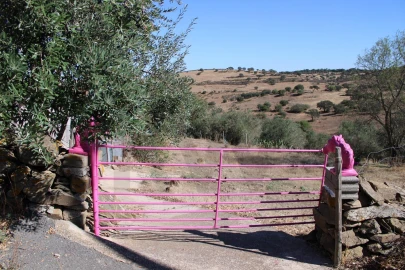 Moradia para Venda em Almodôvar e Graça dos Padrões