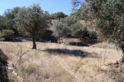 Moradia para Venda em Almodôvar e Graça dos Padrões
