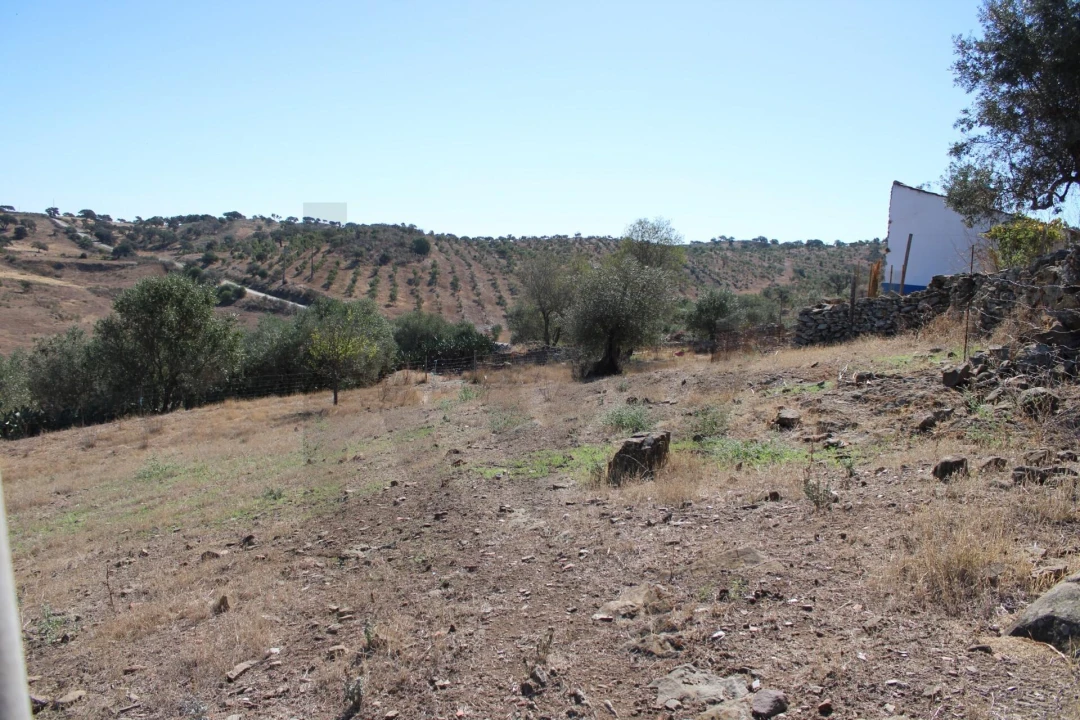 Moradia para Venda em Almodôvar e Graça dos Padrões Foto 52
