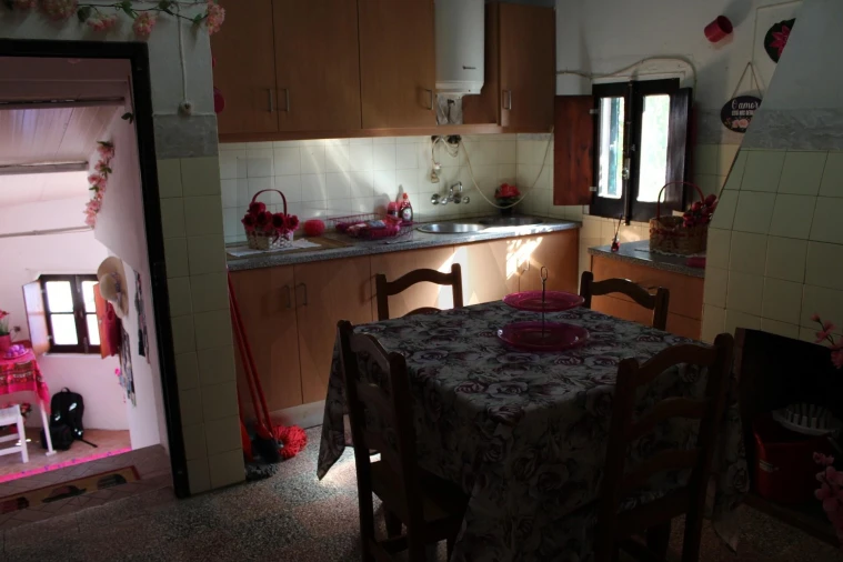 Moradia para Venda em Almodôvar e Graça dos Padrões Foto 43
