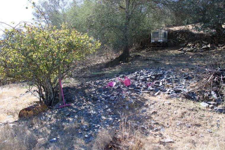 Moradia para Venda em Almodôvar e Graça dos Padrões Foto 55