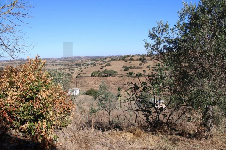 Moradia para Venda em Almodôvar e Graça dos Padrões Foto 31