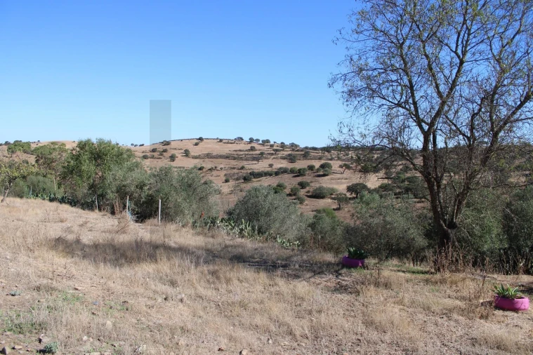 Moradia para Venda em Almodôvar e Graça dos Padrões Foto 53