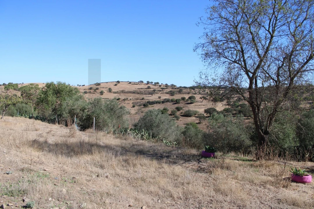 Moradia para Venda em Almodôvar e Graça dos Padrões Foto 53