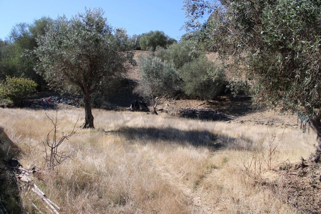 Moradia para Venda em Almodôvar e Graça dos Padrões Foto 57