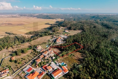 Terreno para Venda em Paião