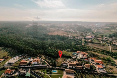Terreno para Venda em Paião