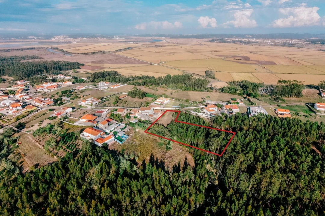 Terreno para Venda em Paião Foto 16