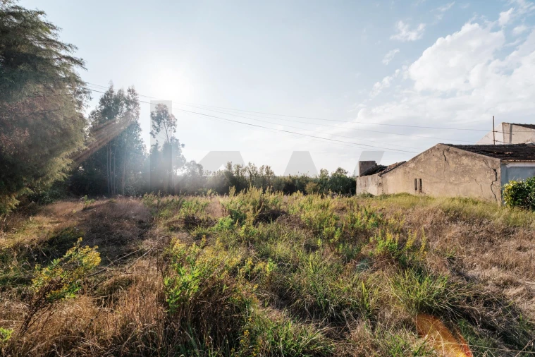 Terreno para Venda em Paião Foto 21
