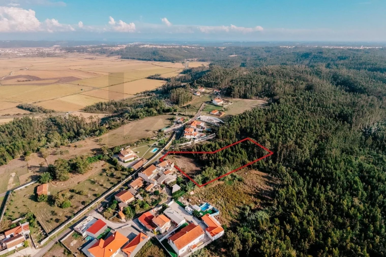 Terreno para Venda em Paião Foto 14