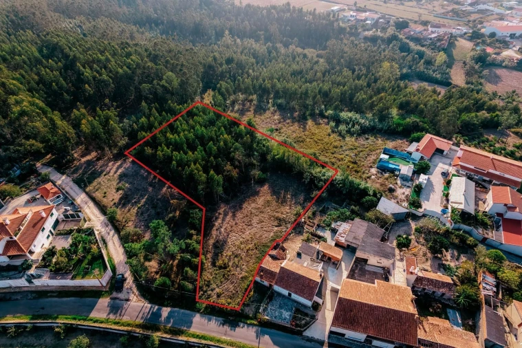Terreno para Venda em Paião Foto 6