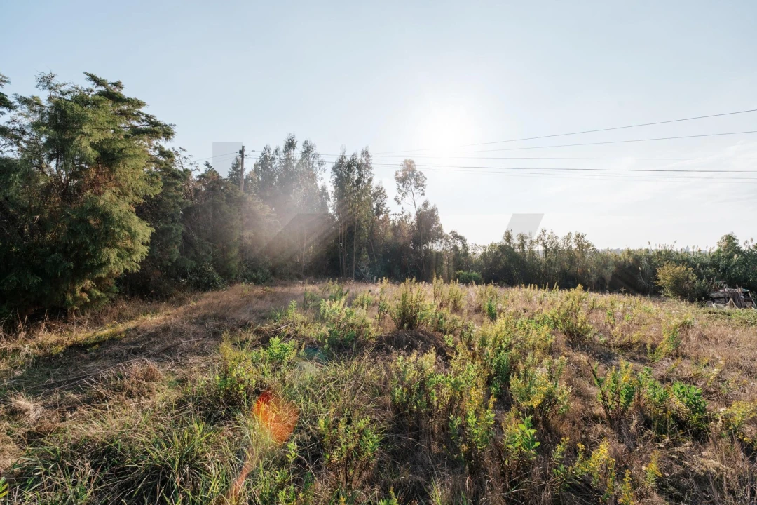 Terreno para Venda em Paião Foto 22
