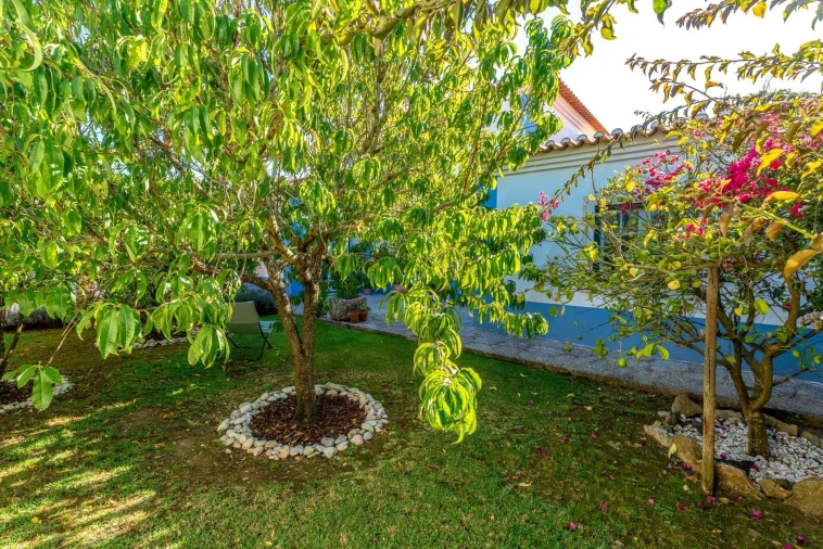Moradia T2 para Arrendamento em São João das Lampas e Terrugem Foto 25