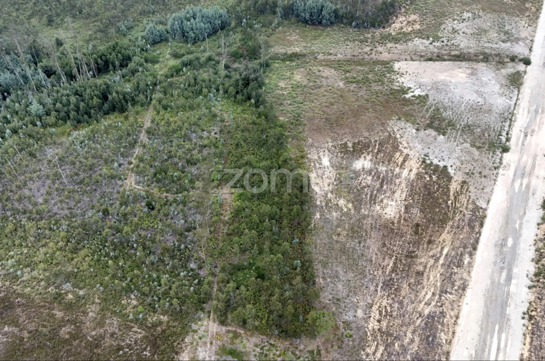 Terreno para Venda em Albergaria-A-Velha e Valmaior Foto 22