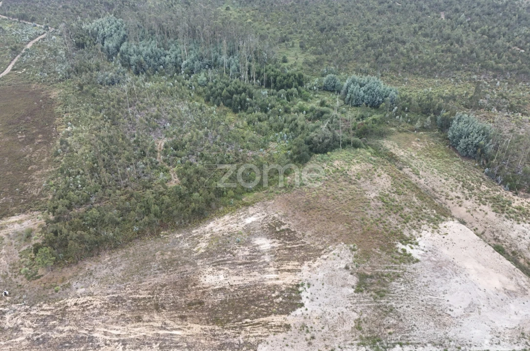 Terreno para Venda em Albergaria-A-Velha e Valmaior Foto 11