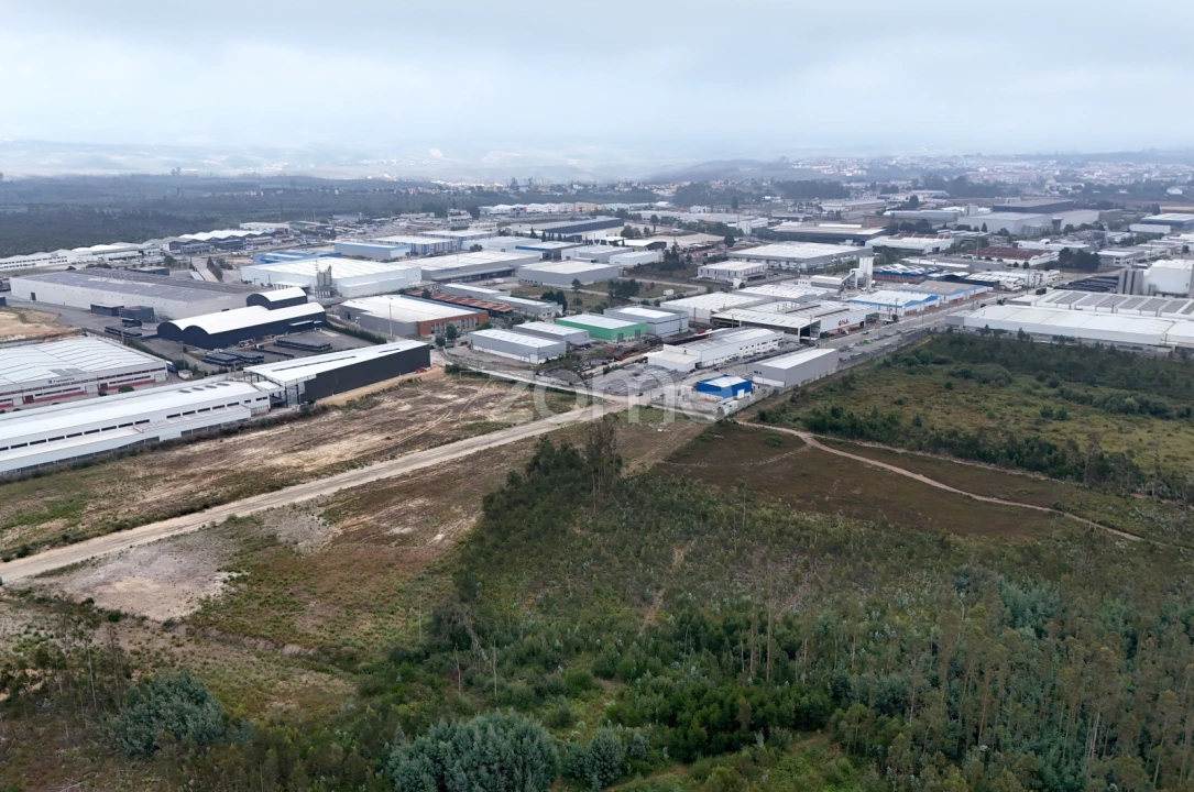 Terreno para Venda em Albergaria-A-Velha e Valmaior Foto 6