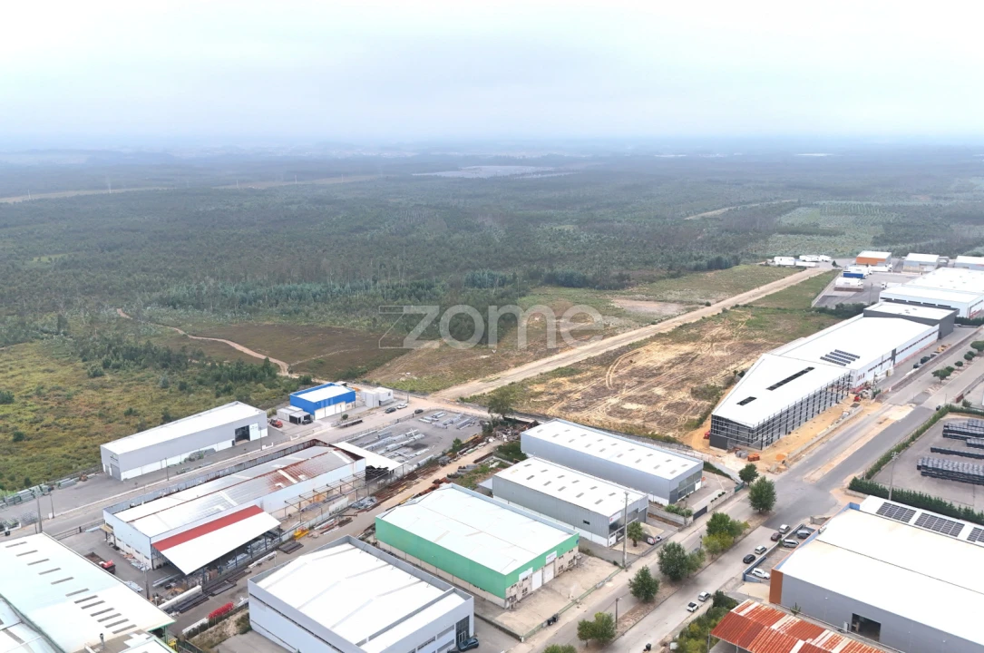 Terreno para Venda em Albergaria-A-Velha e Valmaior Foto 5