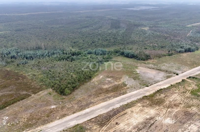 Terreno para Venda em Albergaria-A-Velha e Valmaior