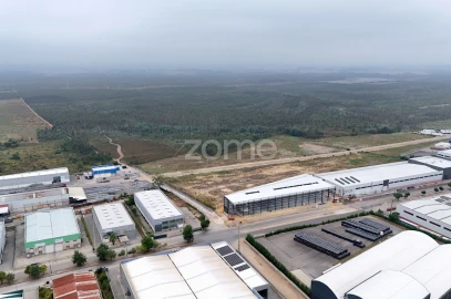 Terreno para Venda em Albergaria-A-Velha e Valmaior