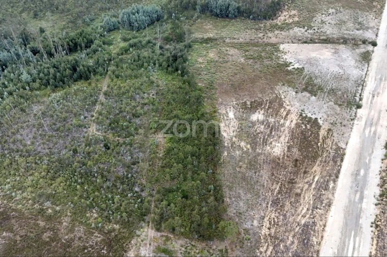 Terreno para Venda em Albergaria-A-Velha e Valmaior Foto 19