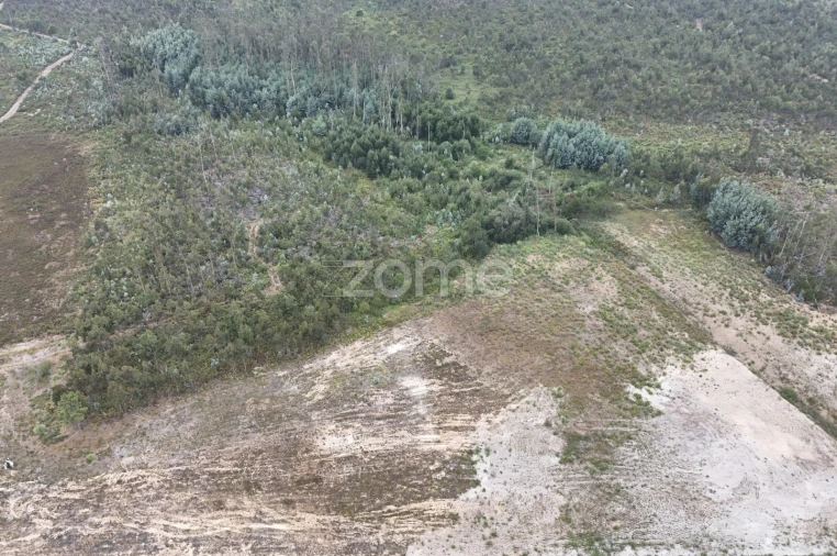Terreno para Venda em Albergaria-A-Velha e Valmaior Foto 20