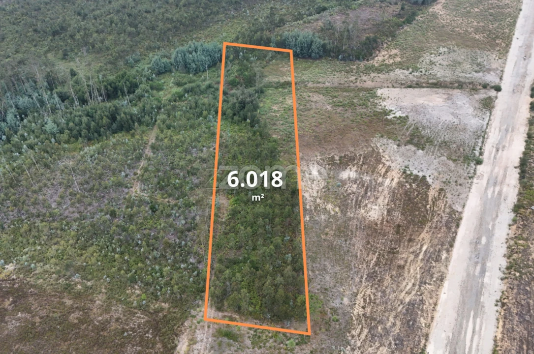 Terreno para Venda em Albergaria-A-Velha e Valmaior Foto 13