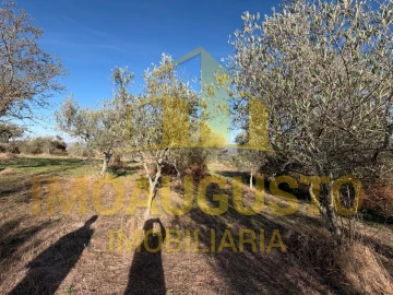 Quinta para Venda em Figueiró da Serra e Freixo da Serra