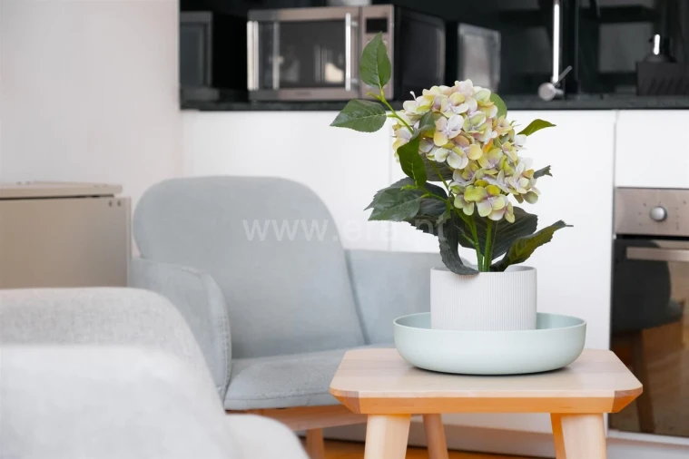 Apartamento T2 para Venda em Bonfim Foto 3