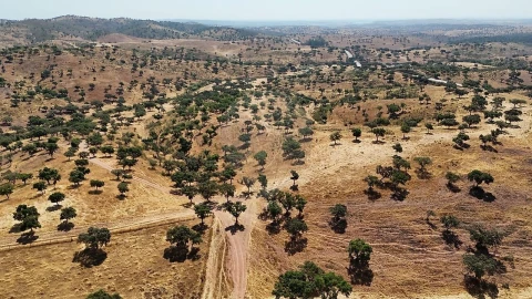 Quinta T4 para Venda em São Manços e São Vicente do Pigeiro