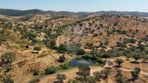 Quinta T4 para Venda em São Manços e São Vicente do Pigeiro