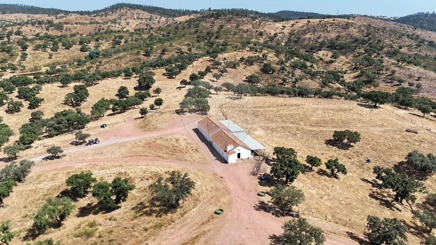Quinta T4 para Venda em São Manços e São Vicente do Pigeiro Foto 3
