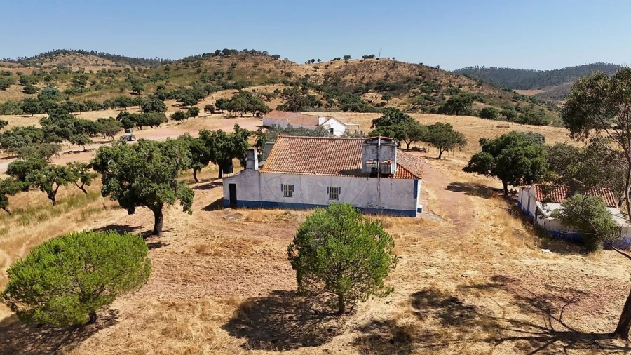 Quinta T4 para Venda em São Manços e São Vicente do Pigeiro Foto 7