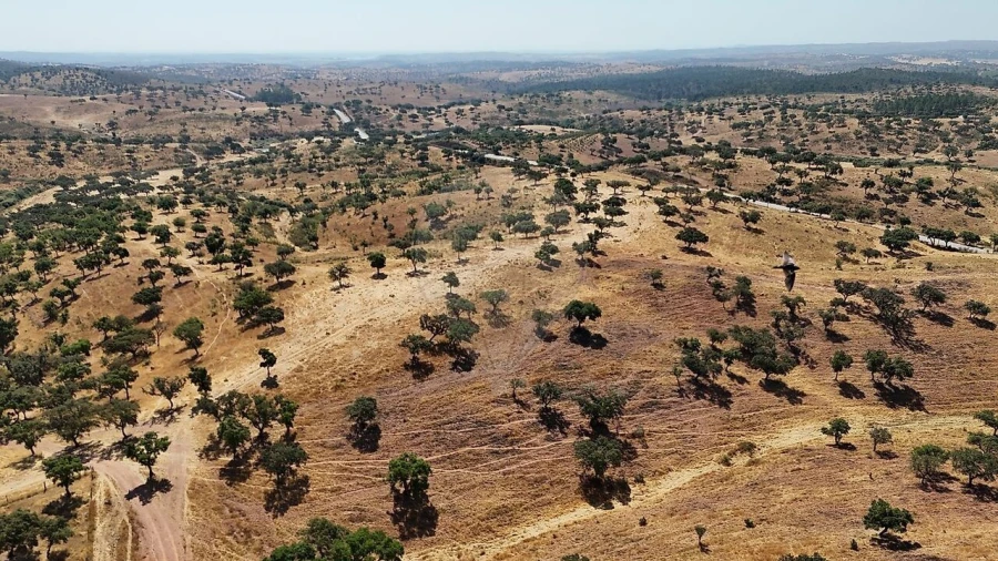 Quinta T4 para Venda em São Manços e São Vicente do Pigeiro Foto 5