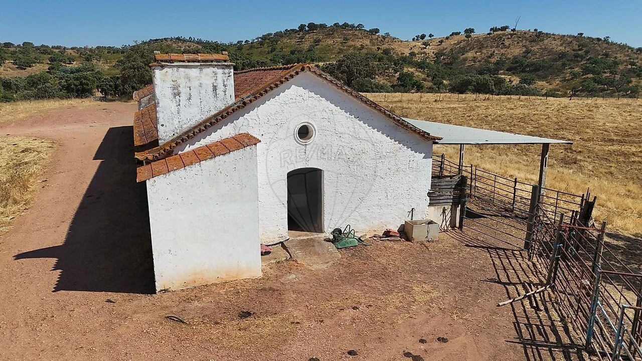 Quinta T4 para Venda em São Manços e São Vicente do Pigeiro Foto 9