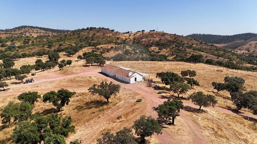 Quinta T4 para Venda em São Manços e São Vicente do Pigeiro