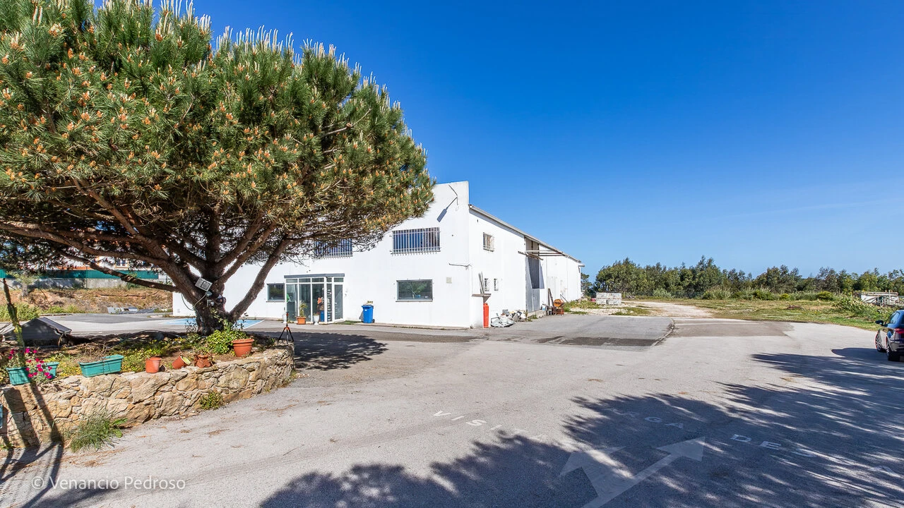 Armazém para Venda em Ericeira Foto 14