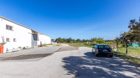 Armazém para Venda em Ericeira