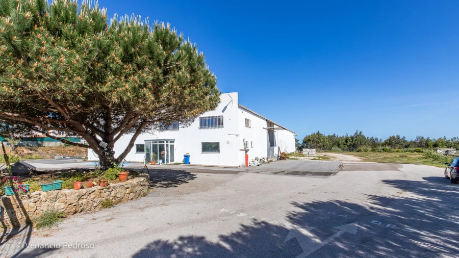 Armazém para Venda em Ericeira Foto 14