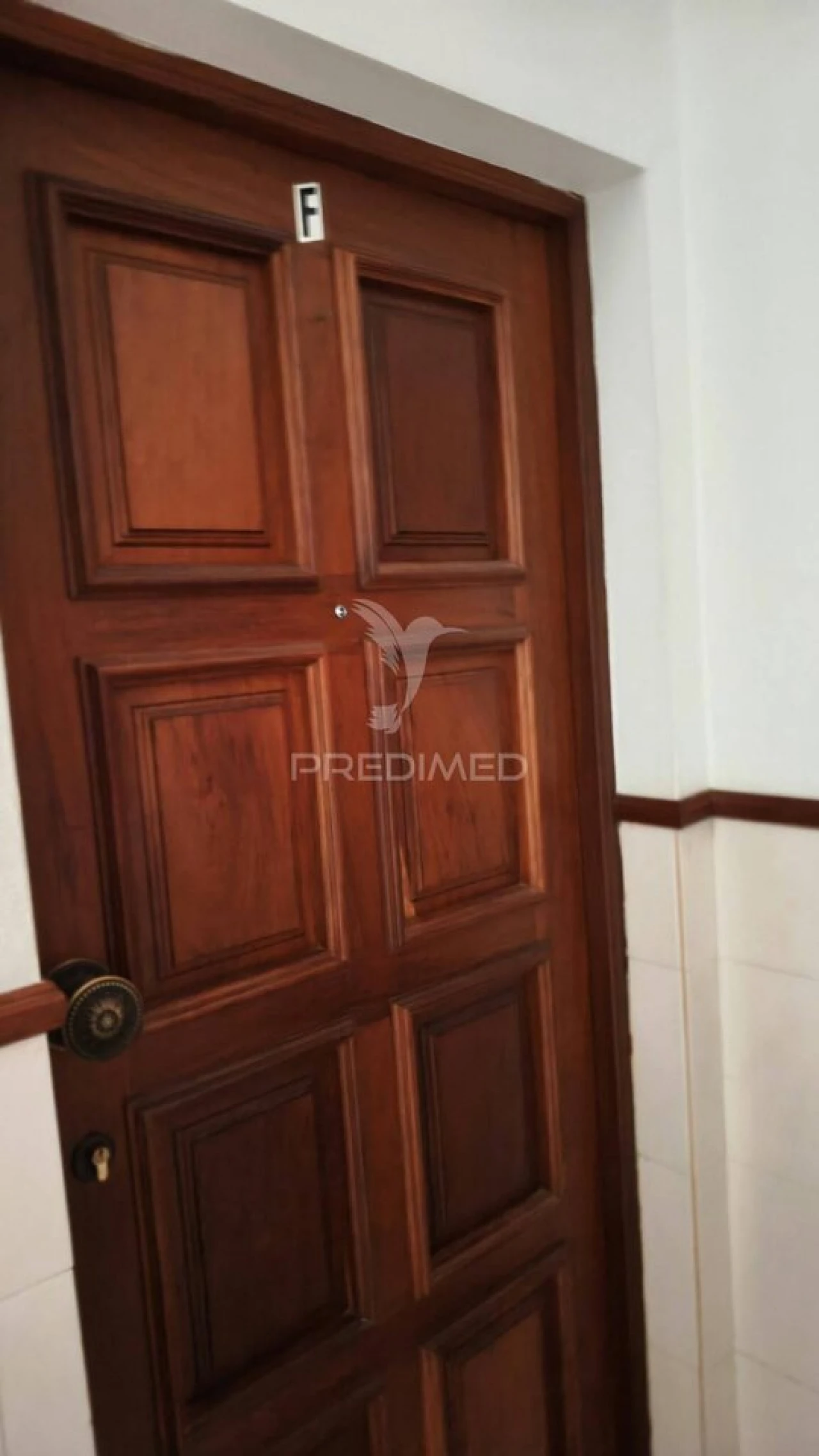 Apartamento T1 para Venda em Bustos, Troviscal e Mamarrosa Foto 3