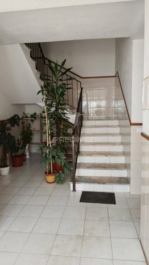 Apartamento T1 para Venda em Bustos, Troviscal e Mamarrosa