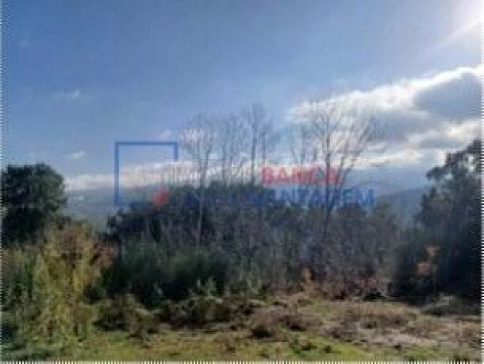 Quinta T0 para Venda em Penhalonga e Paços de Gaiolo Foto 2