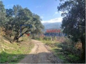 Quinta T0 para Venda em Penhalonga e Paços de Gaiolo