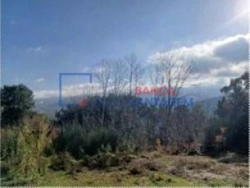 Quinta T0 para Venda em Penhalonga e Paços de Gaiolo