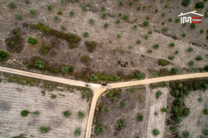 Terreno Agricola ou Rústico para Venda em Pego
