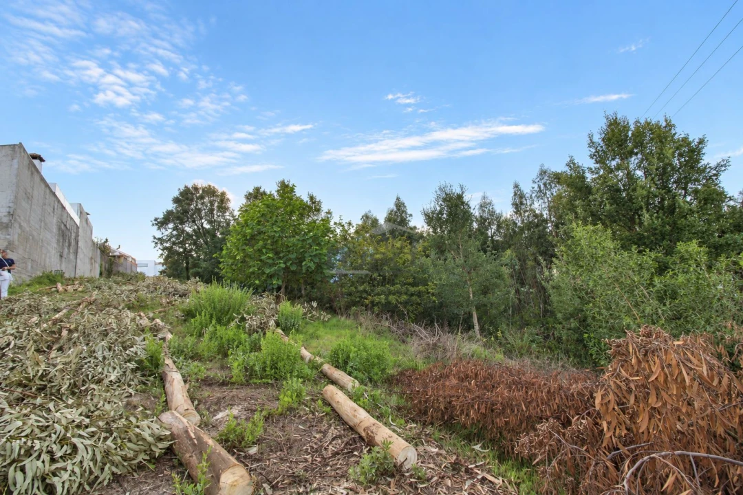 Terreno P/ Prédio para Venda em Fânzeres e São Pedro da Cova Foto 3