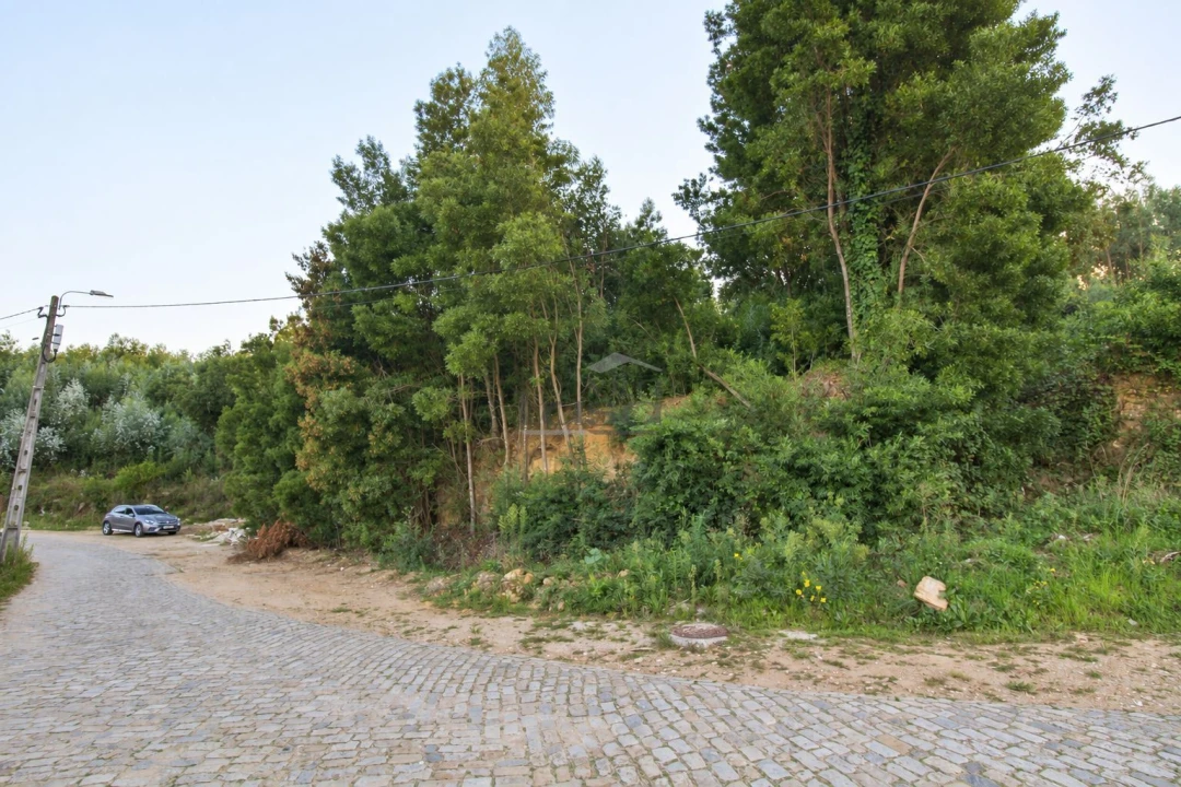 Terreno P/ Prédio para Venda em Fânzeres e São Pedro da Cova Foto 11
