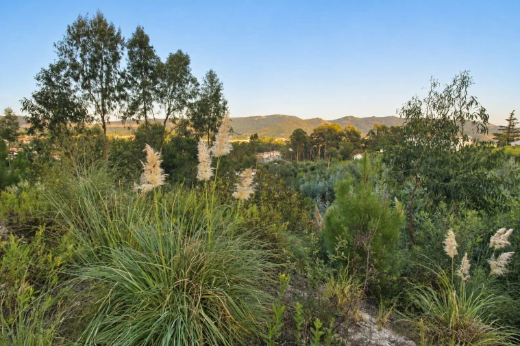 Terreno P/ Prédio para Venda em Fânzeres e São Pedro da Cova Foto 6