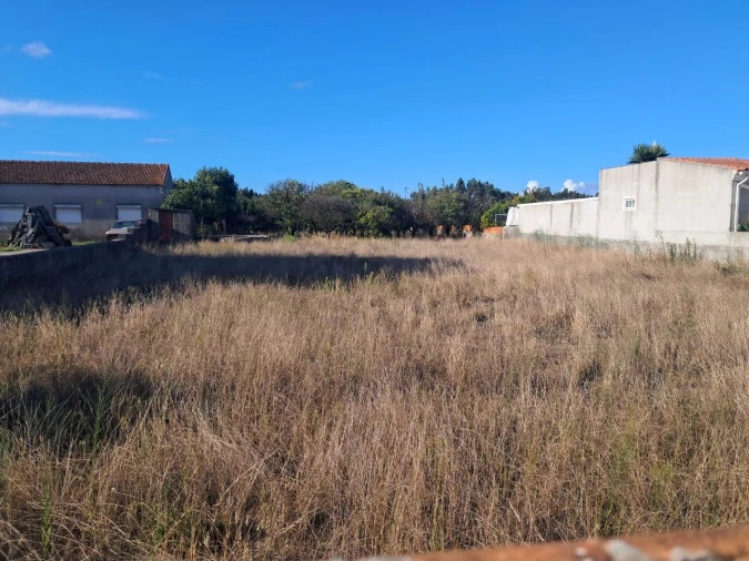 Terreno P/ Prédio para Venda em Mira Foto 2