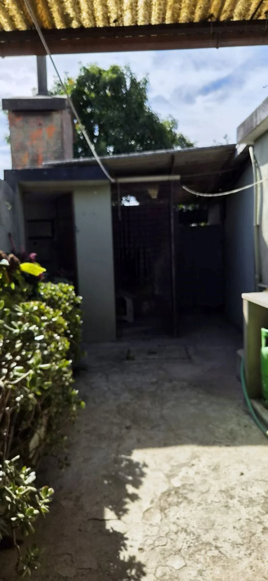 Moradia T4 para Venda em Folgosa Foto 3